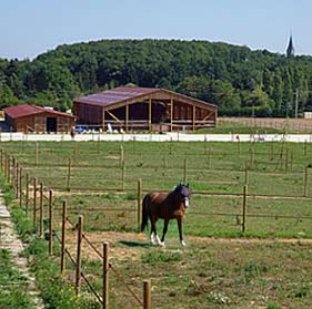 pension, demi-pensioncheval, yvelines